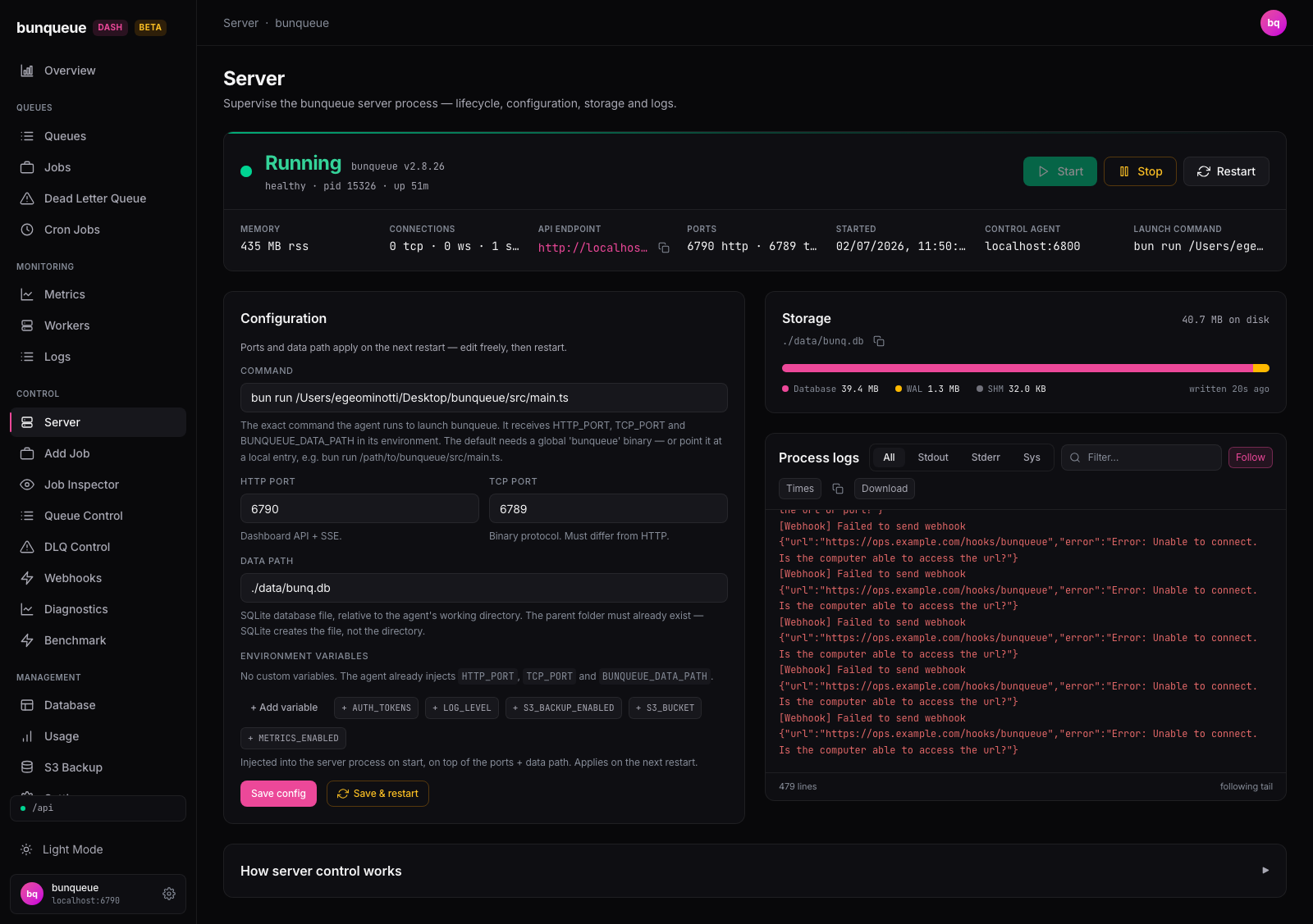 Server Control: lifecycle buttons, launch config and live process logs